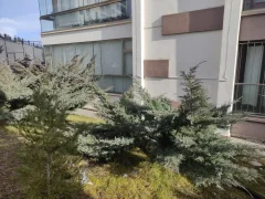 Satılık Ankara Keçiören Sancaktepe Mahallesi